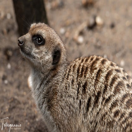 diereninzie-zoo07-2023-38-1.jpg