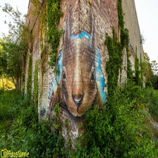 GraffitiDavidDuitsKortrijk-4.jpg
