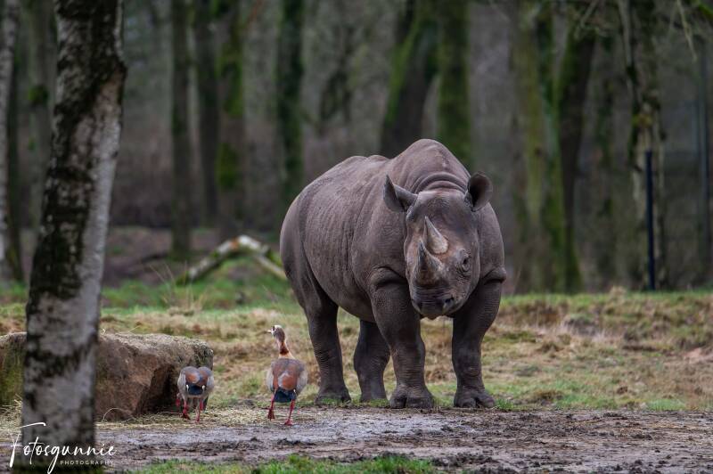 safariparkbeeksebergen02-2024-14.jpg