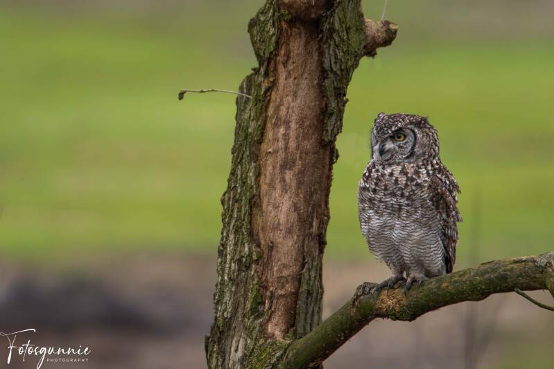 safariparkbeeksebergen02-2024-36.jpg