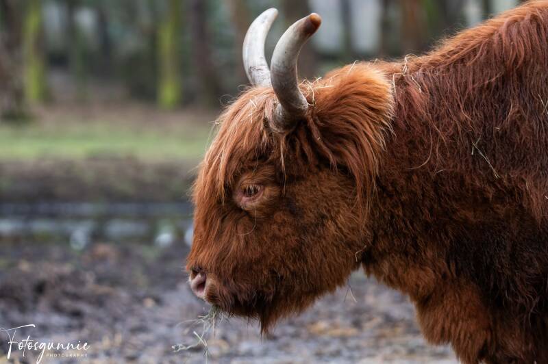 safariparkbeeksebergen02-2024-4.jpg