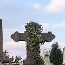 Schoonselhof-41.jpg