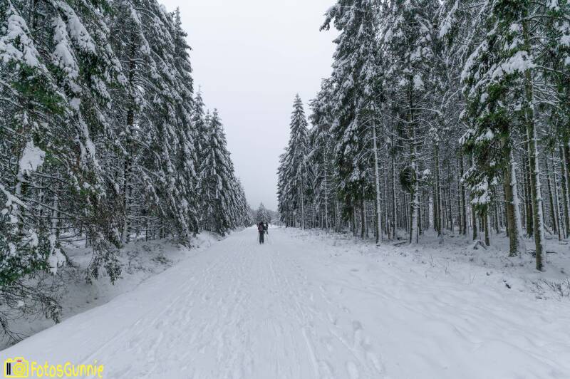 sneeuwlandschap-18.jpg
