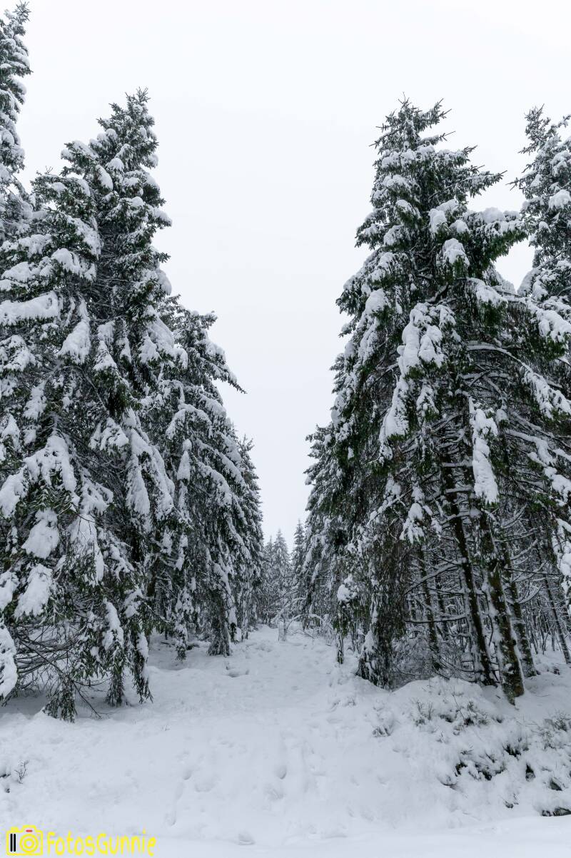 sneeuwlandschap-20.jpg
