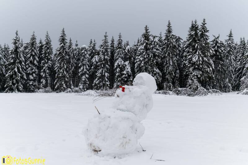 sneeuwlandschap-24.jpg