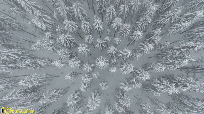 sneeuwlandschap-29.jpg