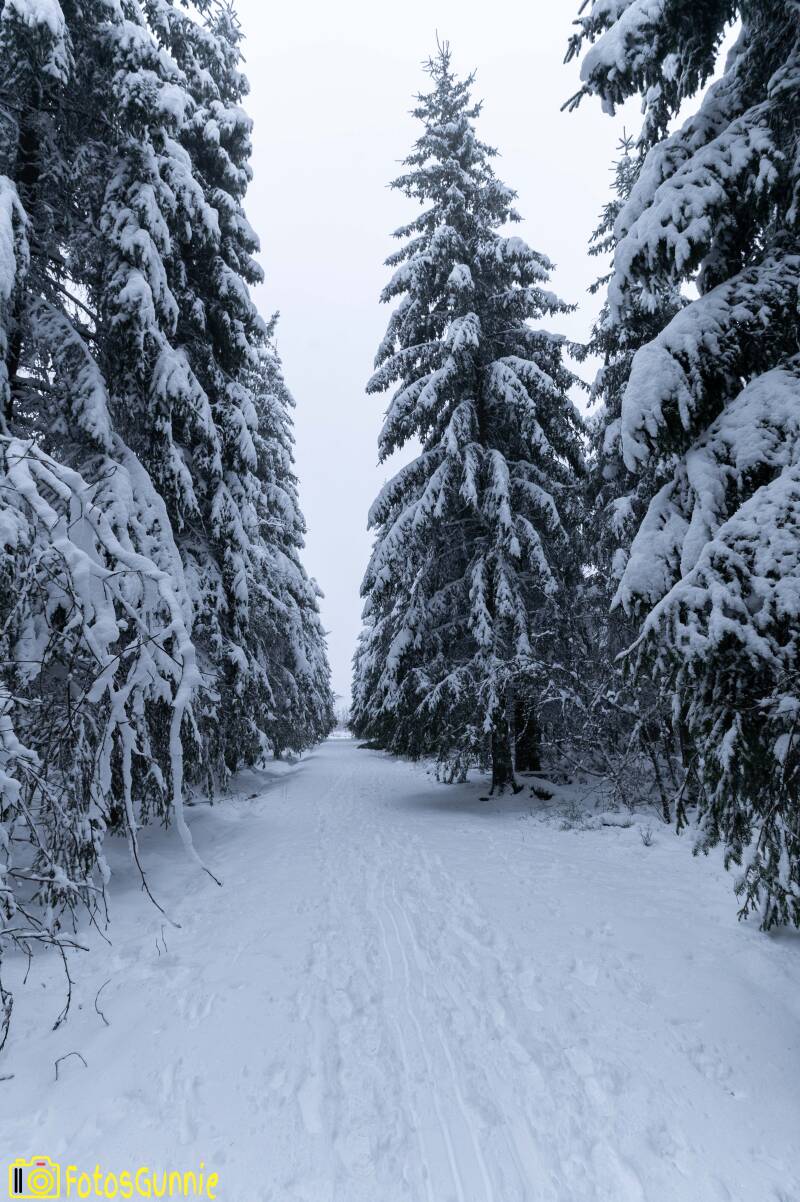 sneeuwlandschap-5.jpg