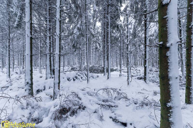 sneeuwlandschap-7.jpg