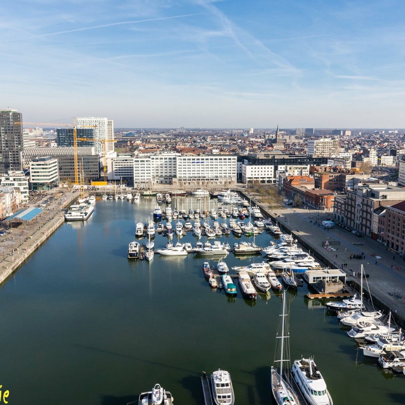 WandeleninAntwerpen-36.jpg