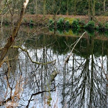 FortVanMerksem12-201413.jpg