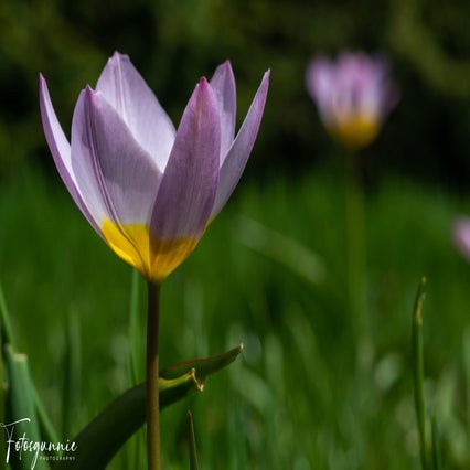indenhofvandefluppe04-2023-5.jpg