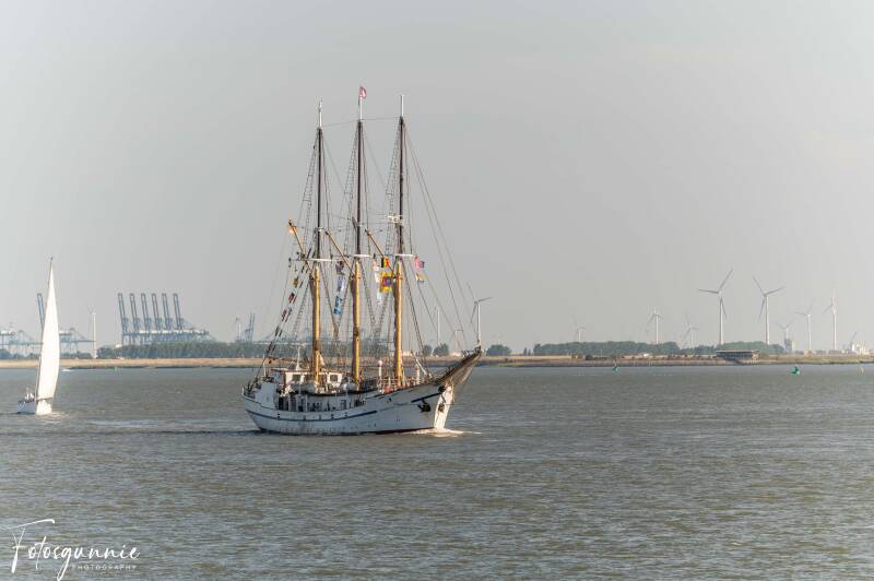 tall-ship-racing-op-de-terugweg-07-2026-10-standard.jpg