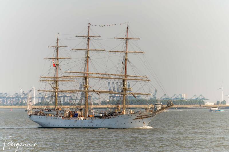 tall-ship-racing-op-de-terugweg-07-2026-12-standard.jpg