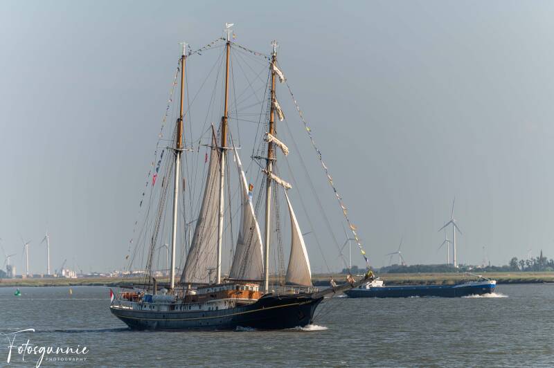 tall-ship-racing-op-de-terugweg-07-2026-18-standard.jpg