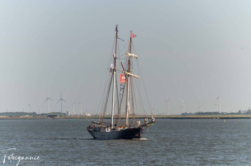 tall-ship-racing-op-de-terugweg-07-2026-19-standard.jpg