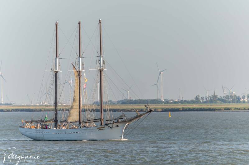 tall-ship-racing-op-de-terugweg-07-2026-20-standard.jpg