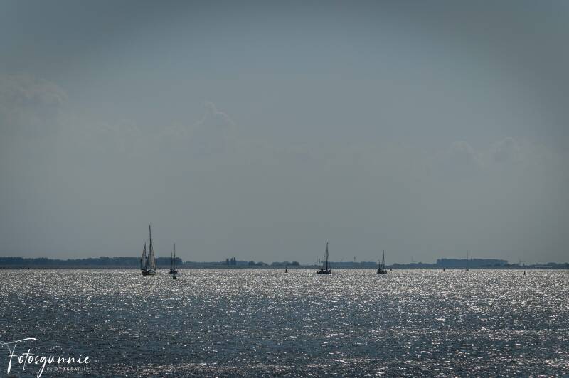 tall-ship-racing-op-de-terugweg-07-2026-3-standard.jpg