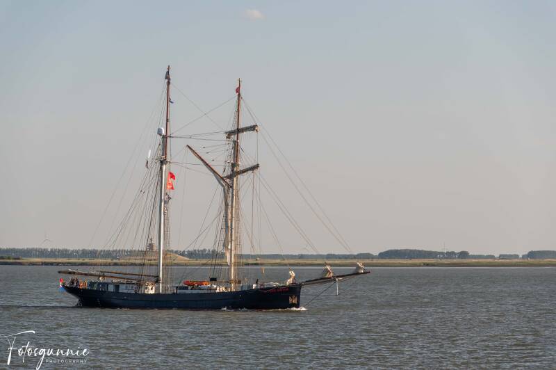 tall-ship-racing-op-de-terugweg-07-2026-30-standard.jpg