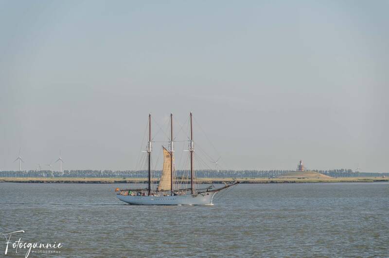 tall-ship-racing-op-de-terugweg-07-2026-33-standard.jpg