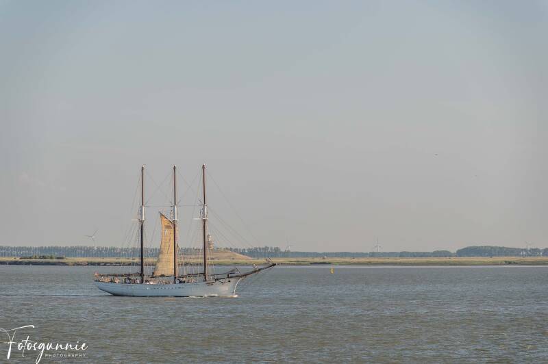 tall-ship-racing-op-de-terugweg-07-2026-34-standard.jpg