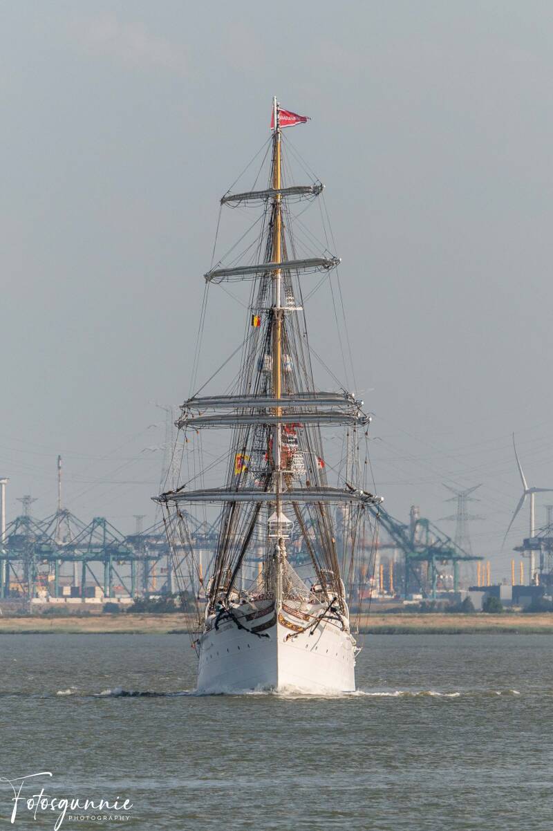 tall-ship-racing-op-de-terugweg-07-2026-5-standard.jpg