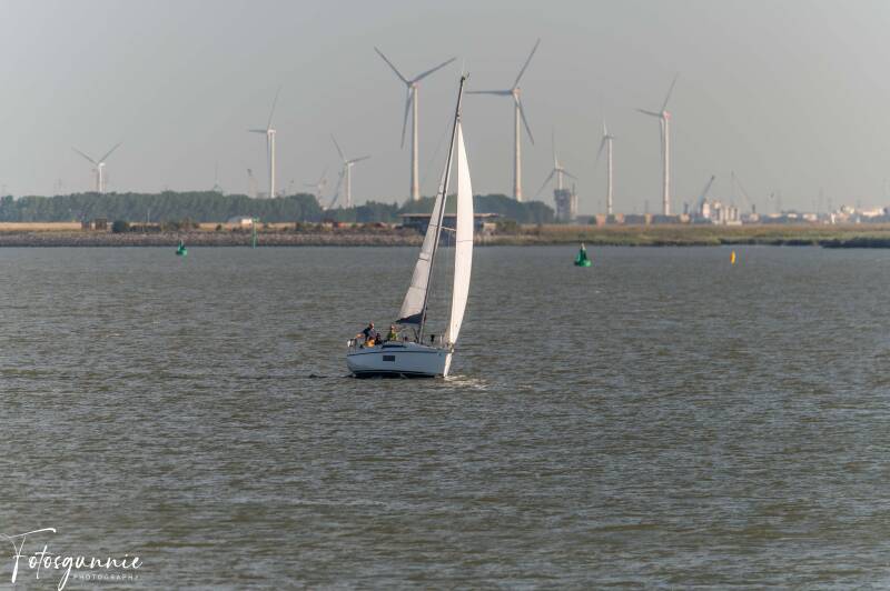 tall-ship-racing-op-de-terugweg-07-2026-8-standard.jpg