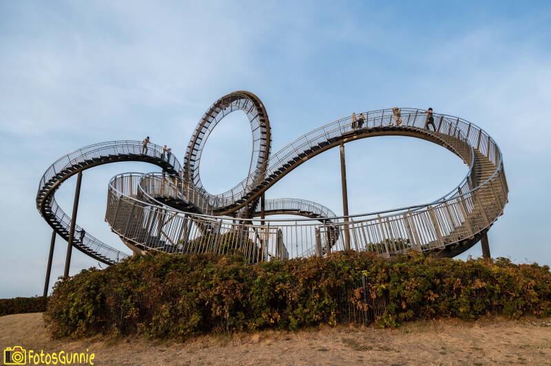 tigerturtlemagicmountain-2.jpg