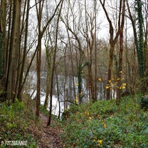 FortVanMerksem12-201421.jpg