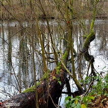 FortVanMerksem12-201418.jpg
