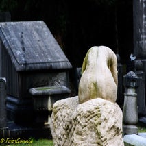 Schoonselhof-49.jpg