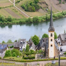 Bremm-3.jpg