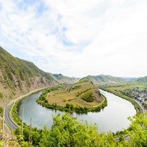 Bremm-4.jpg
