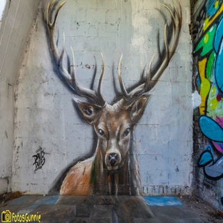 GraffitiDavidDuitsKortrijk-11.jpg