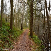 FortVanMerksem12-201426.jpg