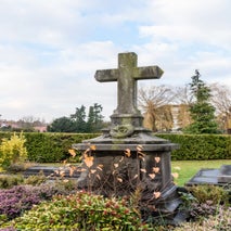Schoonselhof-43.jpg