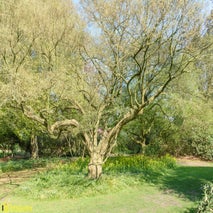 ArboretumKalmthout-32.jpg