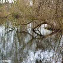 FortVanMerksem12-201427.jpg