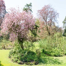 ArboretumKalmthout-11.jpg