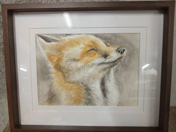 'Dreamy Fox' Aquareltekening