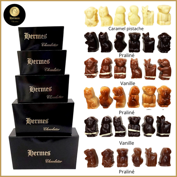 Ballotin sinterklaas pralines
