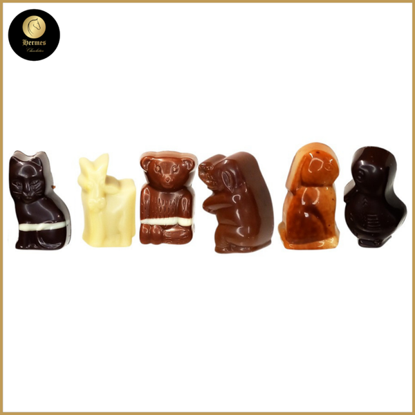 Doosje ambachtelijke pralines diertjesvorm