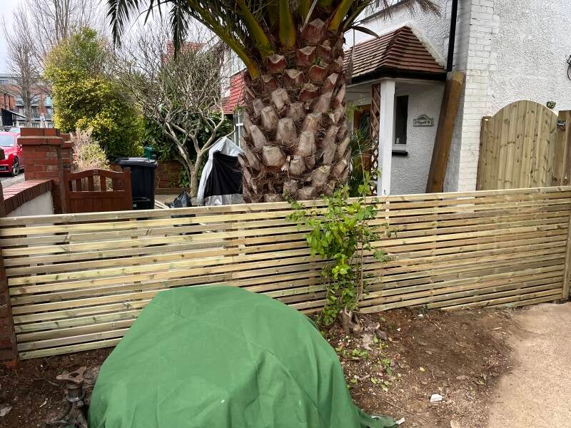 Contemporary trellis