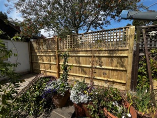 Closeboard fencing