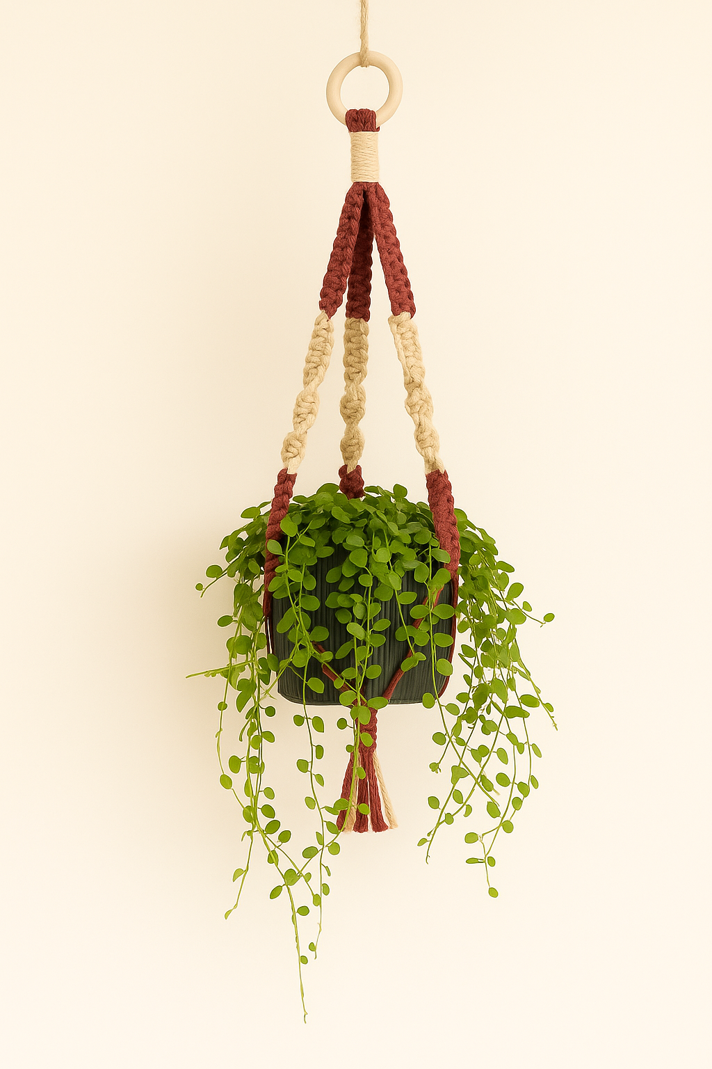 Handmade Rust & Natural Macramé Plant Hanger