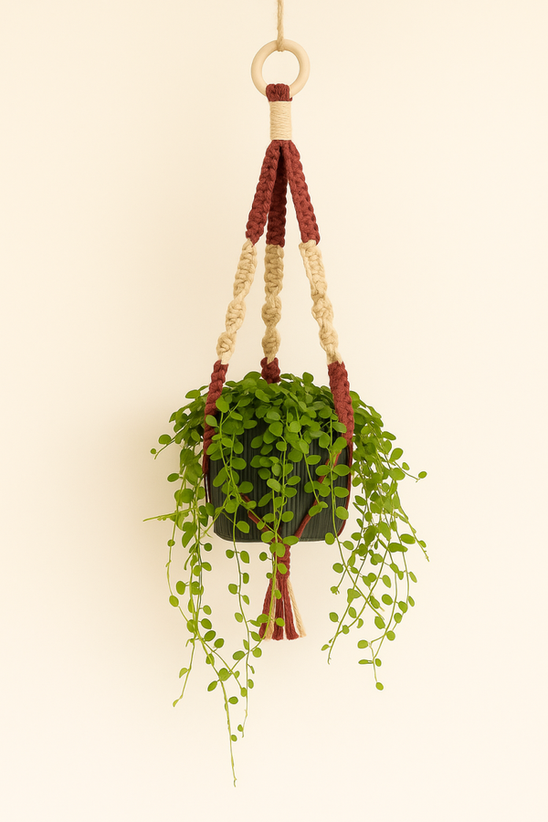 Handmade Rust & Natural Macramé Plant Hanger