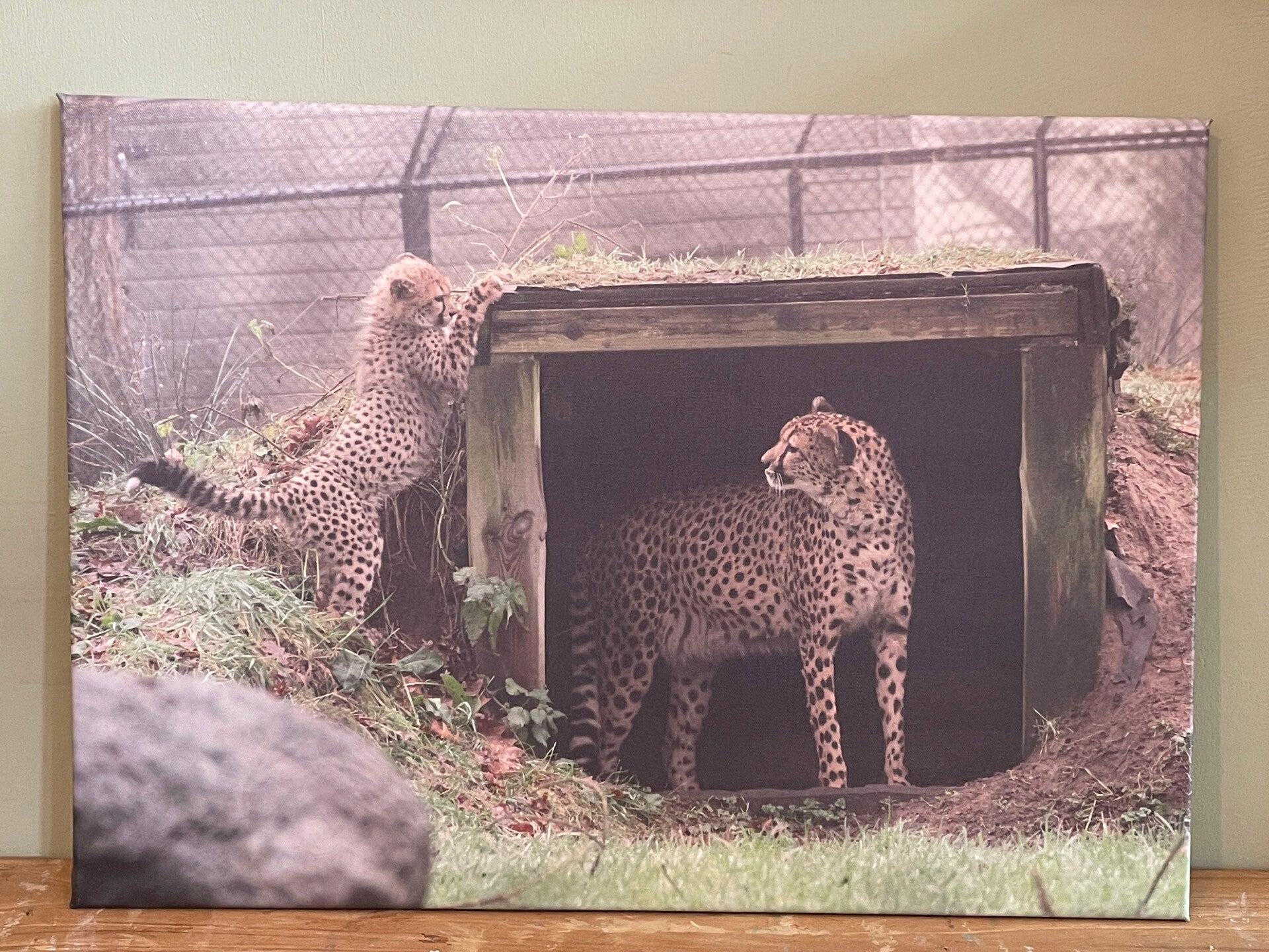 Foto doek opgespannen