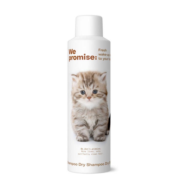 PROMISE DRY SHAMPOO 250 ML