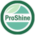 ProShine Cleaning service