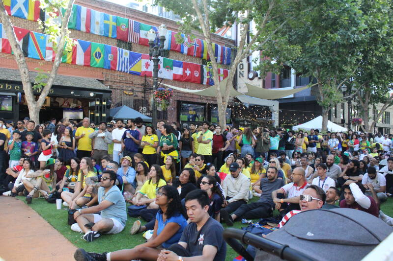 FIFA World Cup Coverage
