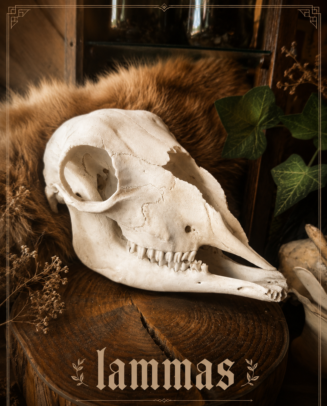 Lammas